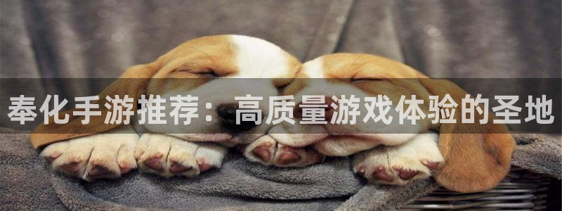 星空93299娱乐官网版：奉化手游推荐：高质量游戏体验的圣地