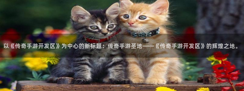 星空娱乐新版本下载：以《传奇手游开发区》为中心的新标题：传奇