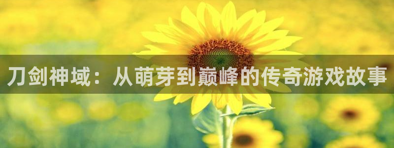 星空娱乐：刀剑神域：从萌芽到巅峰的传奇游戏故事
