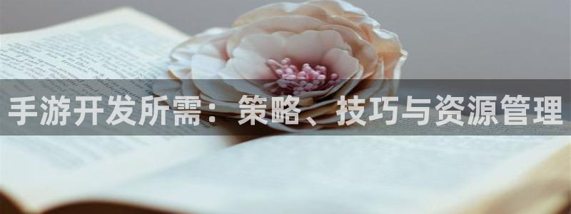 星空娱乐网：手游开发所需：策略、技巧与资源管理