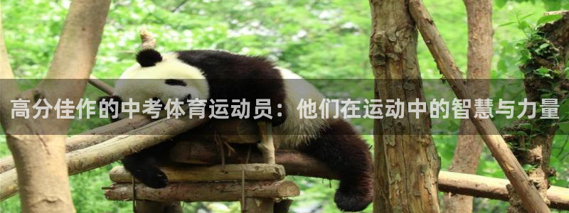 皇冠277体育：高分佳作的中考体育运动员：他们在运动中的智慧与力量