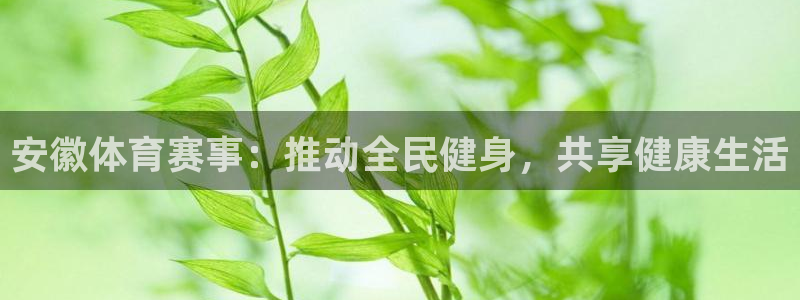 77体育app下载官网：安徽体育赛事：推动全民健身，共享健康生活