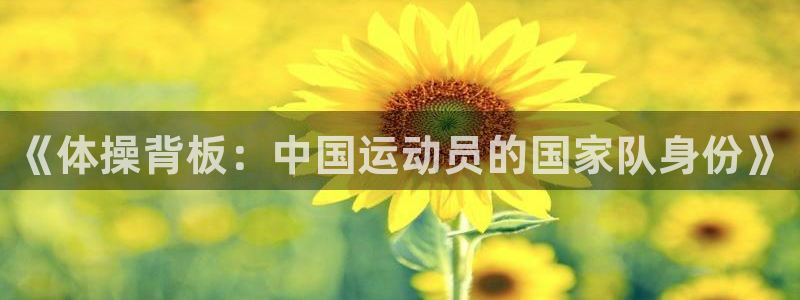 77体育：《体操背板：中国运动员的国家队身份》