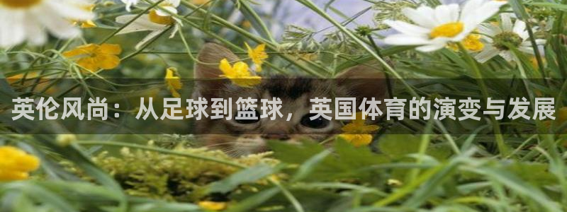 77体育
