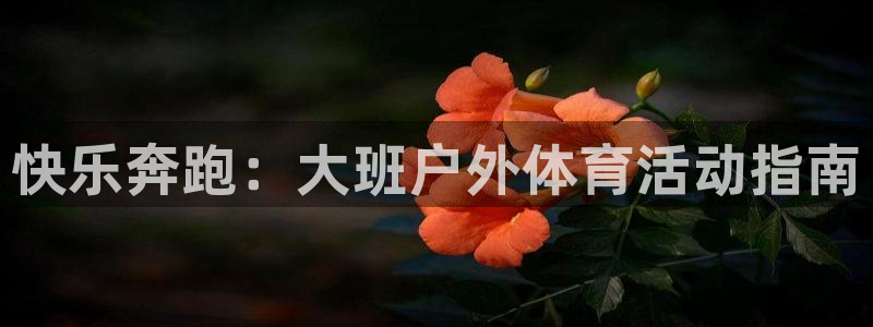 皇冠277体育：快乐奔跑：大班户外体育活动指南