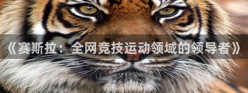 77体育app下载官网