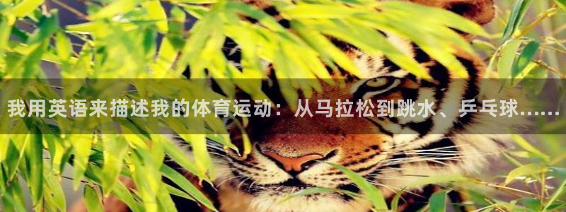 77体育：我用英语来描述我的体育运动：从马拉松到跳水、乒乓球……