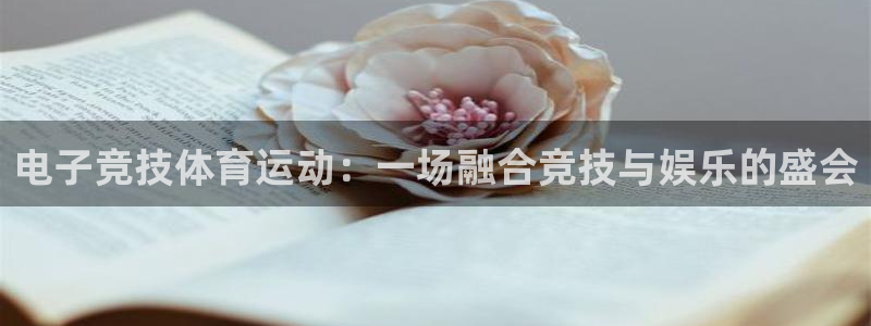 77体育官网