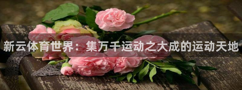 77体育app下载官网：新云体育世界：集万千运动之大成的运动天地