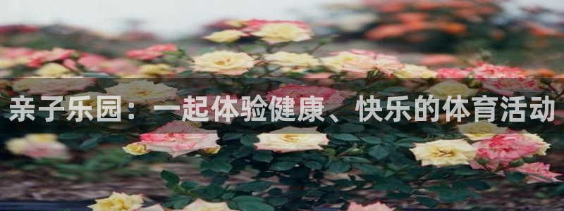 77体育官网