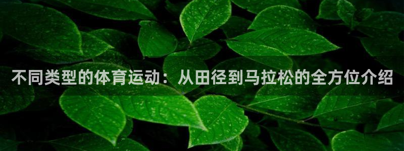 77体育官网