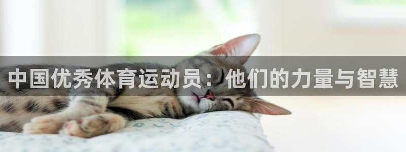 皇冠277体育