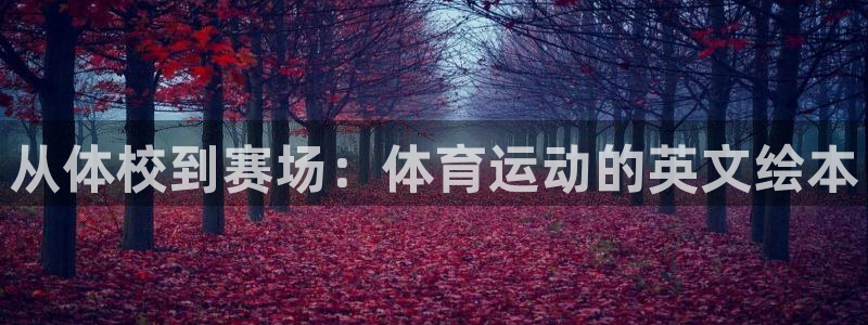 77体育官网